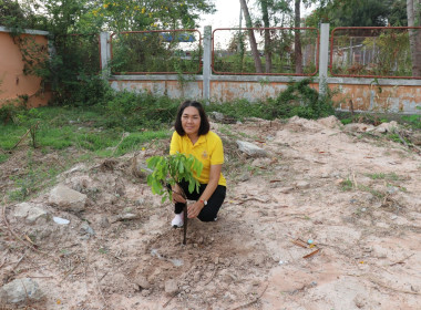 สำนักงานสหกรณ์จังหวัดศรีสะเกษ จัดกิจกรรมปลูกต้นไม้ คนละ 1 ... พารามิเตอร์รูปภาพ 8